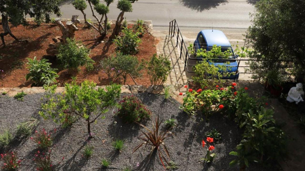 Comfortable Apartment With Garden - Casa Con Vista Havania 外观 照片